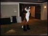 [Tuxskunk FC2004 0462]