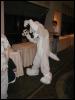 [Tuxskunk FC2004 0504]