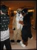 [Tuxskunk FC2004 0512]