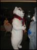 [Tuxskunk FC2004 0532]