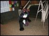 [Tuxskunk FC2004 0553]