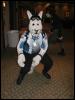 [Tuxskunk FC2004 0561]