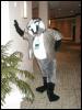 [Tuxskunk FC2004 0579]