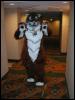 [Tuxskunk FC2004 0668]