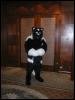 [Tuxskunk FC2004 0674]