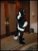 [Tuxskunk FC2004 0675]