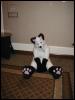 [Tuxskunk FC2004 0814]