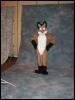 [Tuxskunk FC2004 0856]