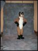 [Tuxskunk FC2004 0858]