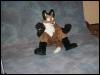 [Tuxskunk FC2004 0861]