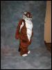 [Tuxskunk FC2004 0880]