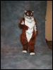 [Tuxskunk FC2004 0882]