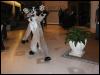 [Tuxskunk FC2004 0891]