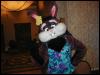 [Tuxskunk FC2004 0895]