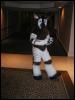 [Tuxskunk FC2004 1018]