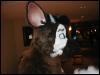 [Tuxskunk FC2004 1020]