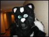 [Tuxskunk FC2004 1027]