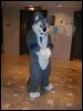 [Tuxskunk FC2004 1029]