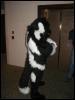 [Tuxskunk FC2004 1039]