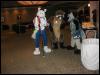 [Tuxskunk FC2004 1332]