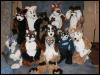 [Tuxskunk FC2004 1402]