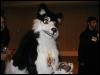 [Tuxskunk FC2004 1416]