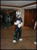 [Tuxskunk FC2004 0782]