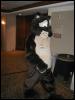 [Tuxskunk FC2004 0785]