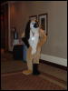 [GriffinWolf FC2006 021]