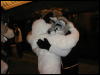 [TuxSkunk 1 FC2006 038]