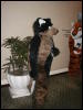 [TuxSkunk 1 FC2006 121]