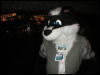 [TuxSkunk 1 FC2006 133]