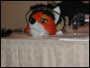 [TuxSkunk 1 FC2006 137]