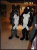 [TuxSkunk 1 FC2006 150]