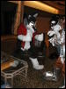 [TuxSkunk 1 FC2006 156]