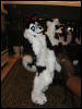 [TuxSkunk 1 FC2006 158]