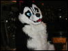 [TuxSkunk 1 FC2006 162]