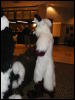 [TuxSkunk 1 FC2006 164]