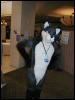 [TuxSkunk 1 FC2006 233]