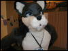 [TuxSkunk 1 FC2006 234]