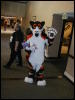 [TuxSkunk 2 FC2006 004]