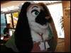 [TuxSkunk 2 FC2006 008]