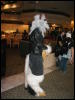 [TuxSkunk 2 FC2006 034]