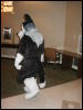 [TuxSkunk 2 FC2006 042]