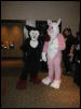 [TuxSkunk 2 FC2006 051]