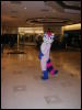 [TuxSkunk 2 FC2006 062]