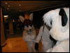 [TuxSkunk 2 FC2006 080]