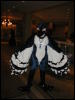 [TuxSkunk 2 FC2006 107]