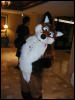 [TuxSkunk 2 FC2006 156]