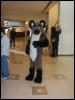 [TuxSkunk 2 FC2006 245]